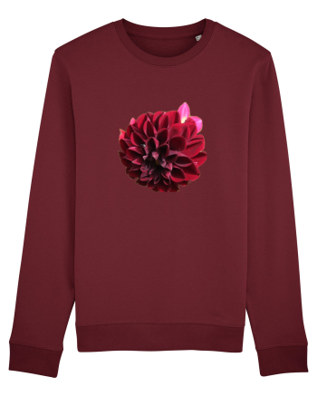 Floare rosu inchis Burgundy