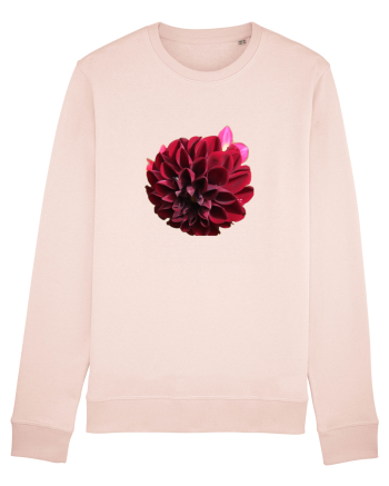 Floare rosu inchis Candy Pink