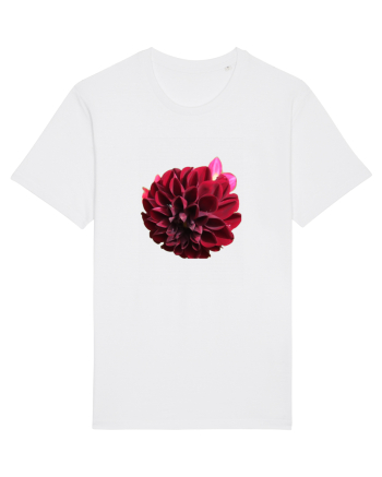 Floare rosu inchis White