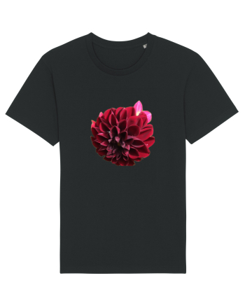 Floare rosu inchis Black