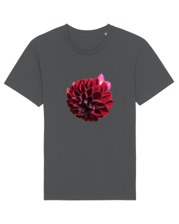 Floare rosu inchis Anthracite