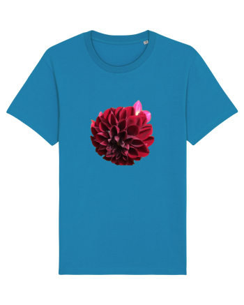 Floare rosu inchis Azur