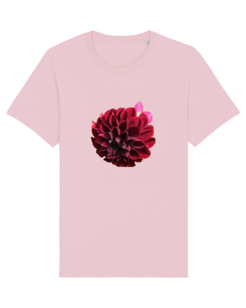 Floare rosu inchis Cotton Pink