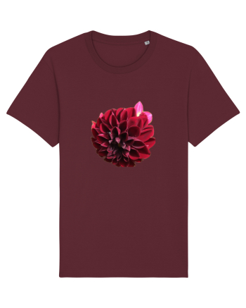 Floare rosu inchis Burgundy