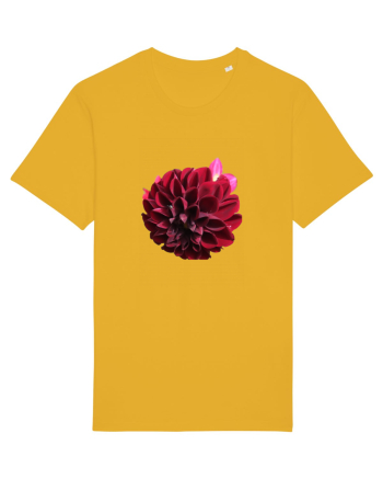 Floare rosu inchis Spectra Yellow