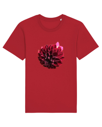 Floare rosu inchis Red