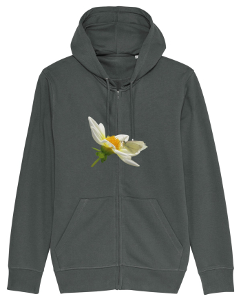 Floare si fluture alb Anthracite