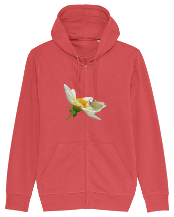 Floare si fluture alb Carmine Red