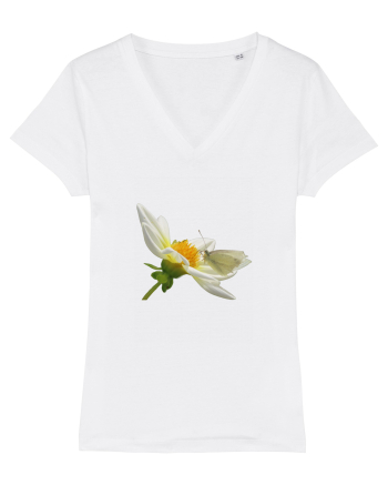 Floare si fluture alb White