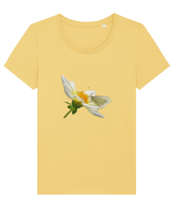 Floare si fluture alb Jojoba