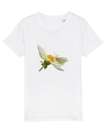 Floare si fluture alb White