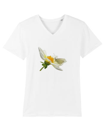 Floare si fluture alb White