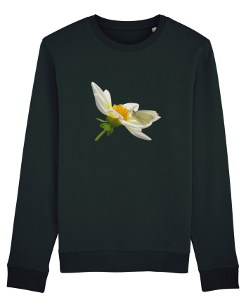 Floare si fluture alb Black