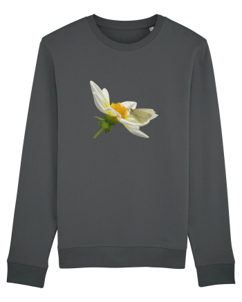 Floare si fluture alb Anthracite