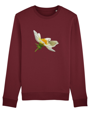 Floare si fluture alb Burgundy
