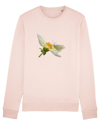 Floare si fluture alb Candy Pink