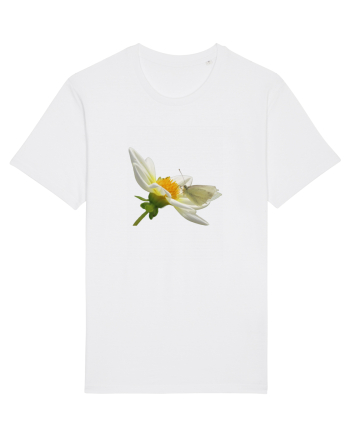 Floare si fluture alb White