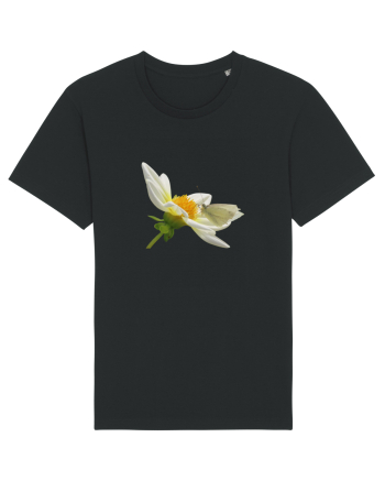 Floare si fluture alb Black