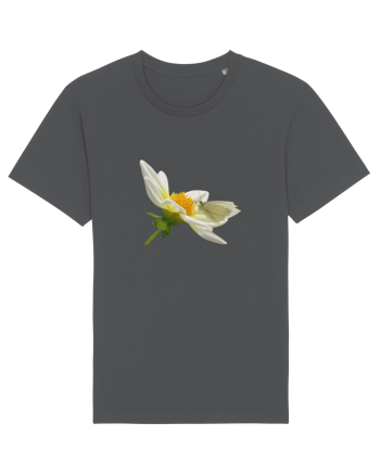 Floare si fluture alb Anthracite
