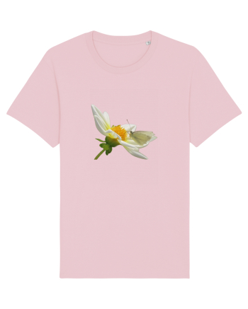 Floare si fluture alb Cotton Pink
