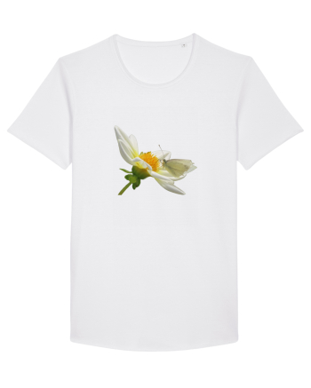 Floare si fluture alb White