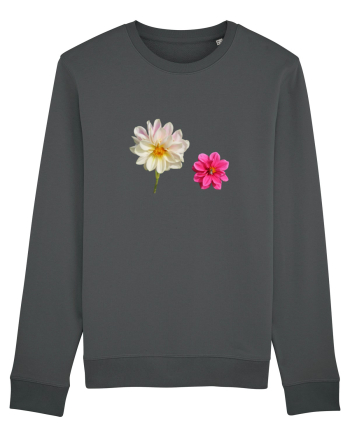 Doua flori Anthracite