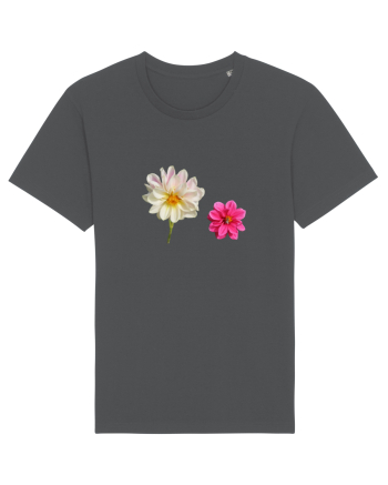 Doua flori Anthracite