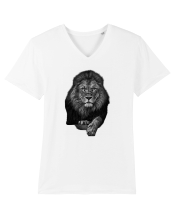 Leu alb negru White