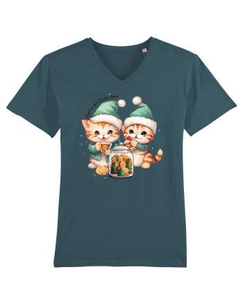 cu pisici de Craciun - Cookies for Santa Claus Stargazer