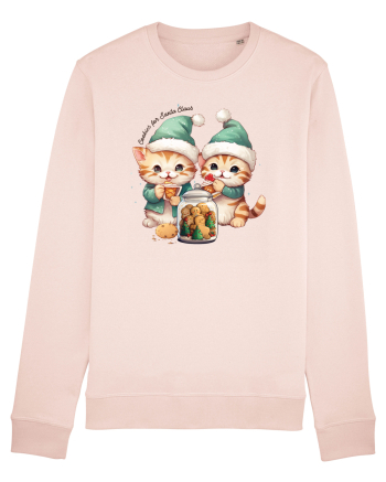 cu pisici de Craciun - Cookies for Santa Claus Candy Pink