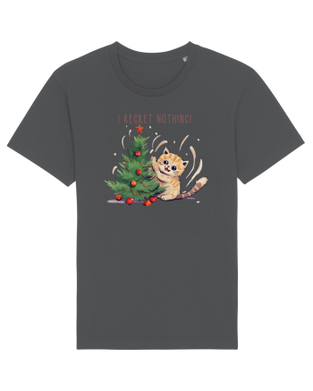 cu pisici de Craciun - I regret nothing Anthracite