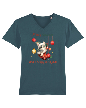 cu pisici de Craciun - Meowy Christmas and a happy purr year Stargazer