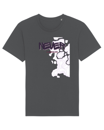 Never A Regular Anthracite