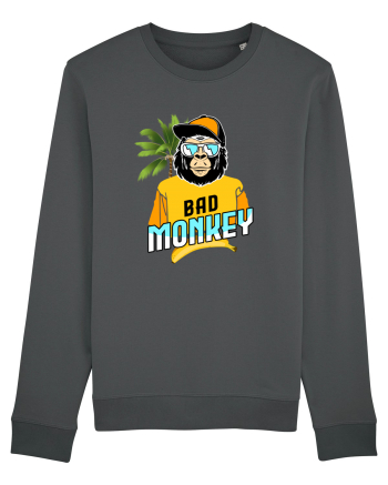 Bad Monkey Anthracite