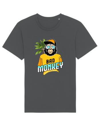 Bad Monkey Anthracite