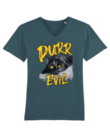 Purr Evil Stargazer