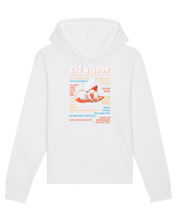CAT WISDOM White