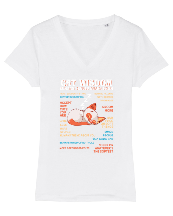 CAT WISDOM White