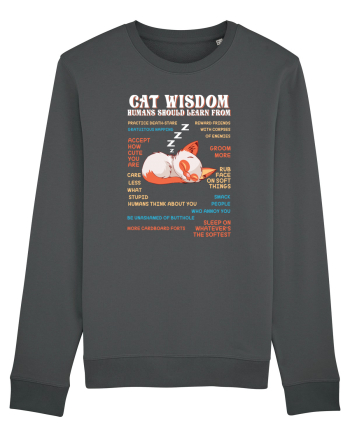CAT WISDOM Anthracite