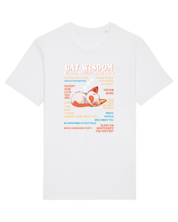 CAT WISDOM White