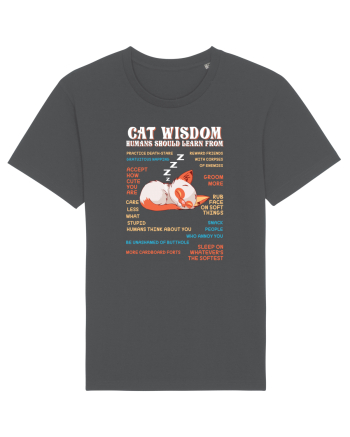 CAT WISDOM Anthracite