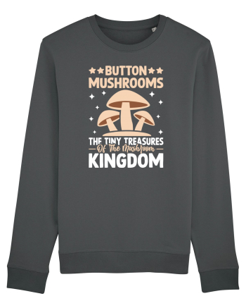 Button mushrooms the tiny treasures of the mushroom kingdom Anthracite