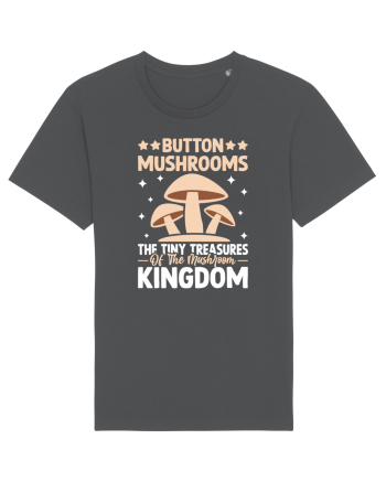 Button mushrooms the tiny treasures of the mushroom kingdom Anthracite