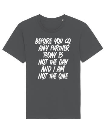 Before You Go Any Further Today Is Not The Day And I Am Not The One Anthracite