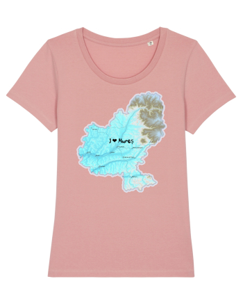 Mureș County Map Canyon Pink