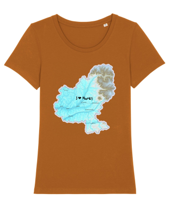Mureș County Map Roasted Orange