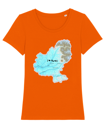 Mureș County Map Bright Orange