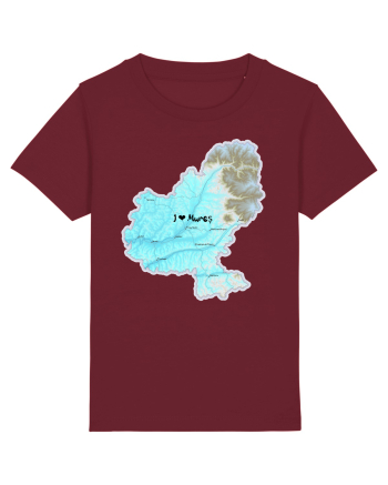 Mureș County Map Burgundy