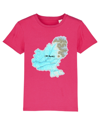 Mureș County Map Raspberry