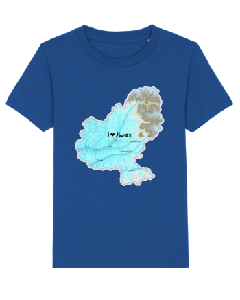Mureș County Map Majorelle Blue